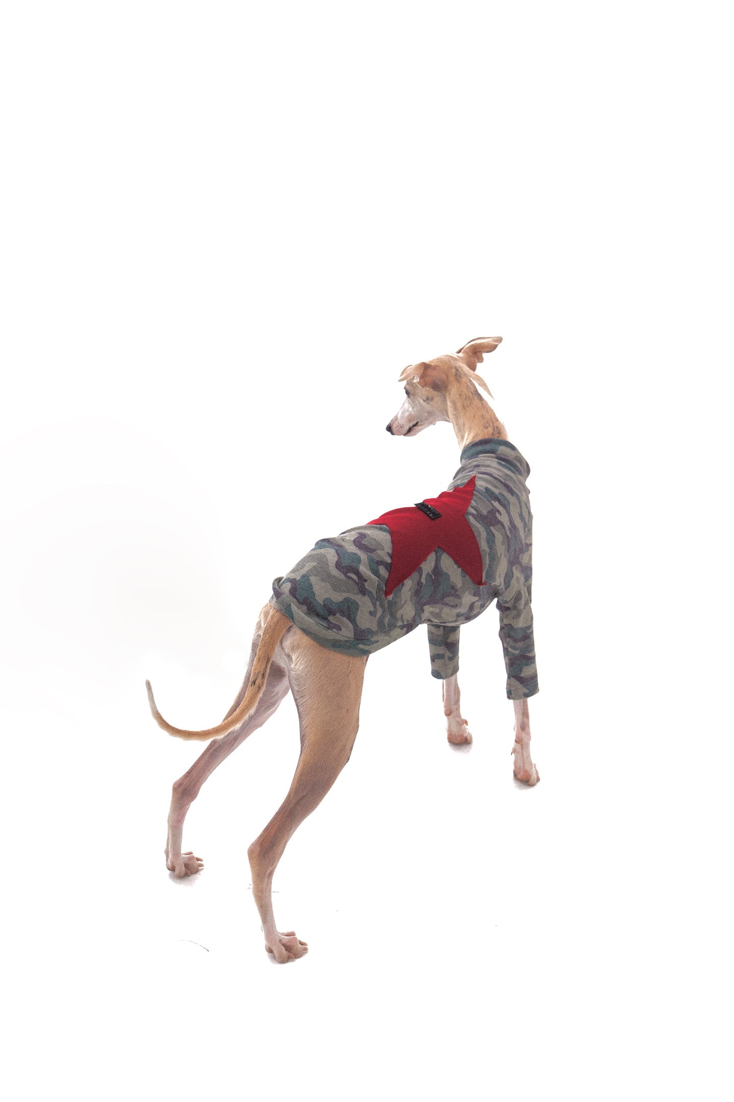 Star Camouflage Dog Jacket - PSYLOS 1, Star Camouflage Dog Jacket, Dog Jacket, NyDkyel, PSYLOS 1