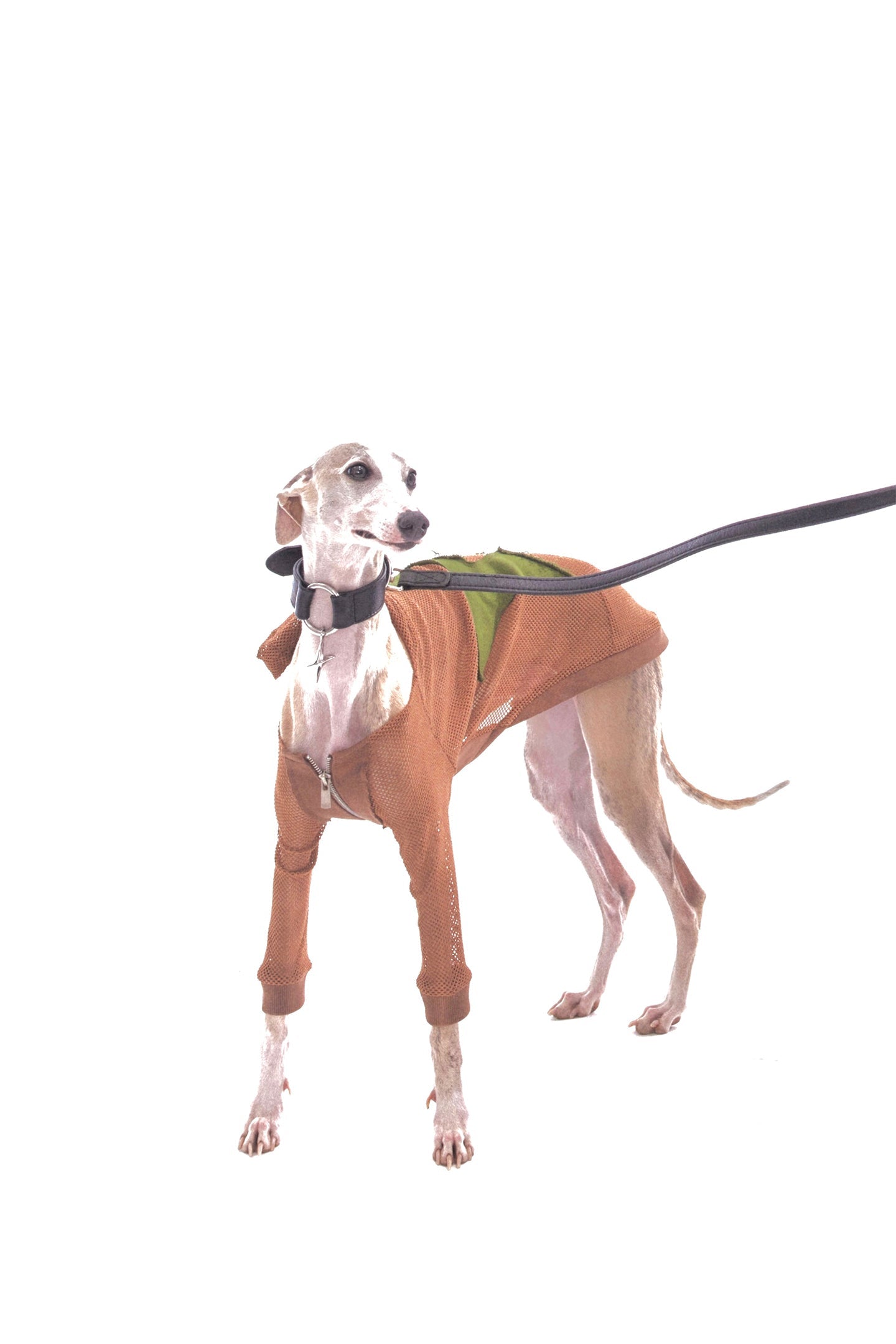 Brown Grid Patch Dog Jacket - PSYLOS 1, Brown Grid Patch Dog Jacket, Dog Jacket, NyDkyel, PSYLOS 1