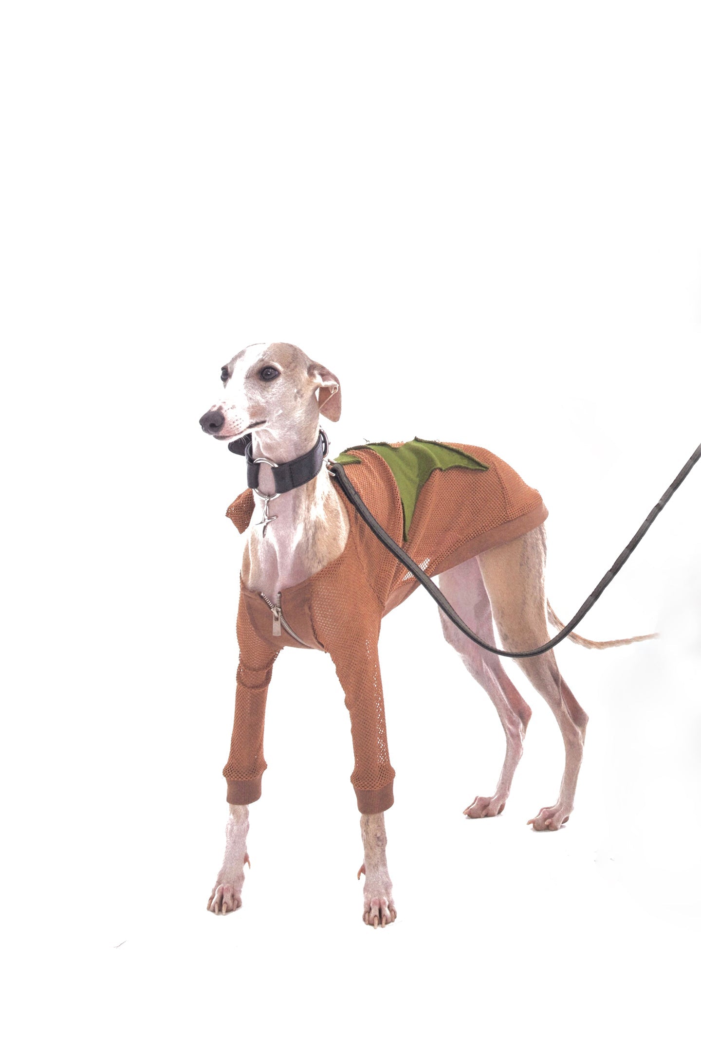 Brown Grid Patch Dog Jacket - PSYLOS 1, Brown Grid Patch Dog Jacket, Dog Jacket, NyDkyel, PSYLOS 1