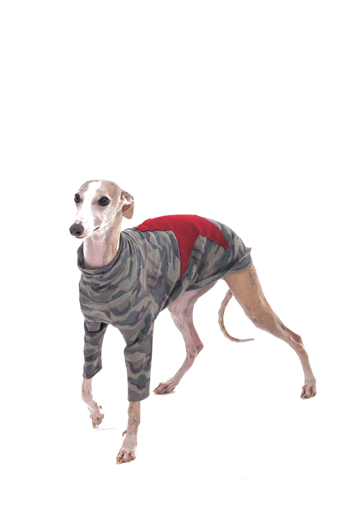 Star Camouflage Dog Jacket - PSYLOS 1, Star Camouflage Dog Jacket, Dog Jacket, NyDkyel, PSYLOS 1