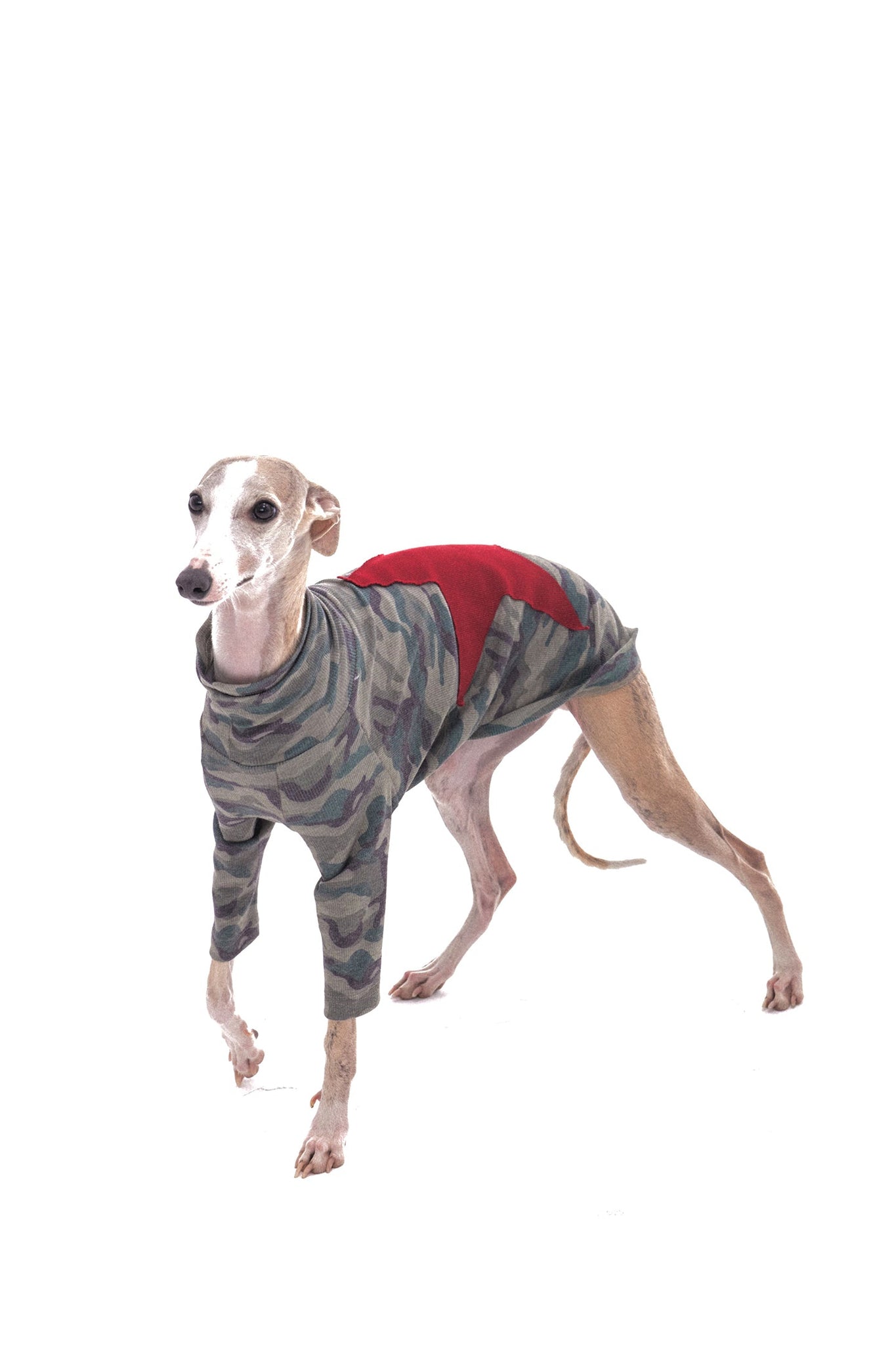 Star Camouflage Dog Jacket