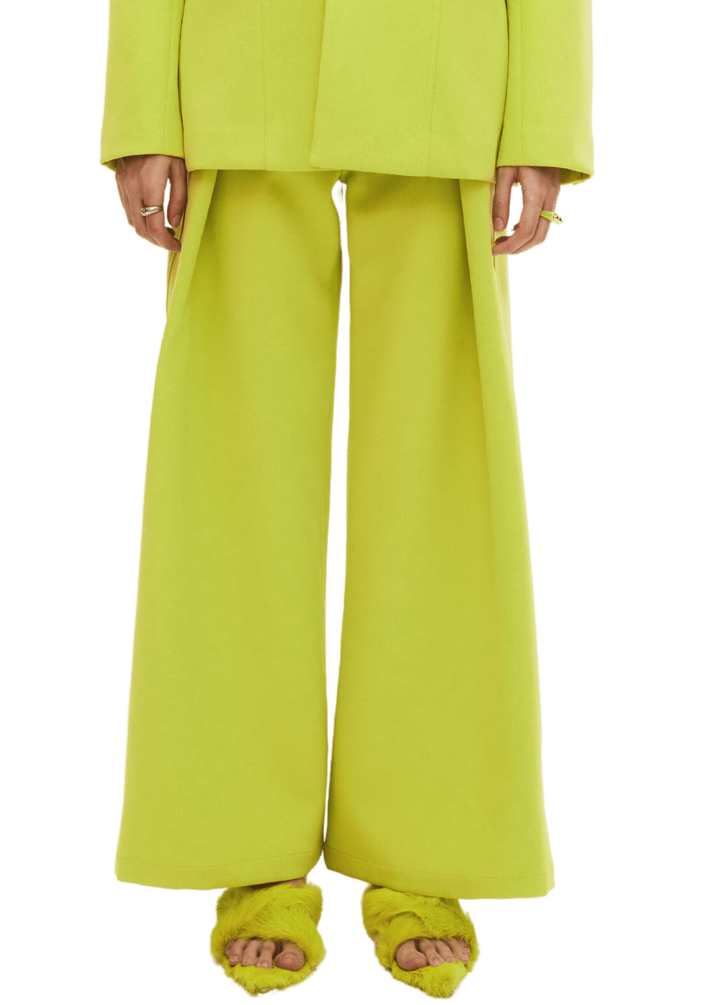 Pleated Oversized Trousers - PSYLOS 1, Pleated Oversized Trousers, Pants, LEEWEI, PSYLOS 1