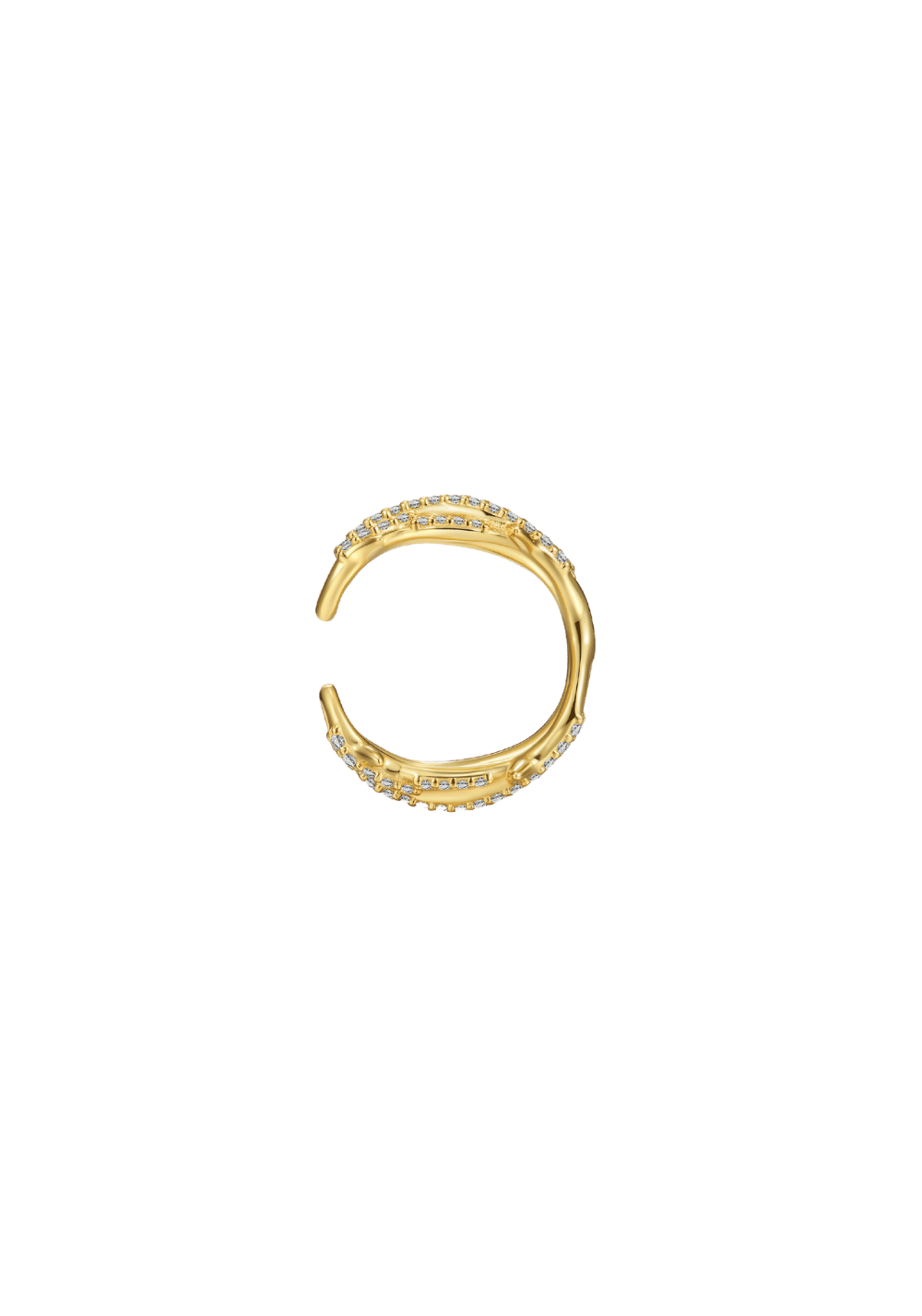 Black Phoenix Thorn Earrings - PSYLOS 1, Black Phoenix Thorn Earrings, Accessories, The Last Redemption, PSYLOS 1