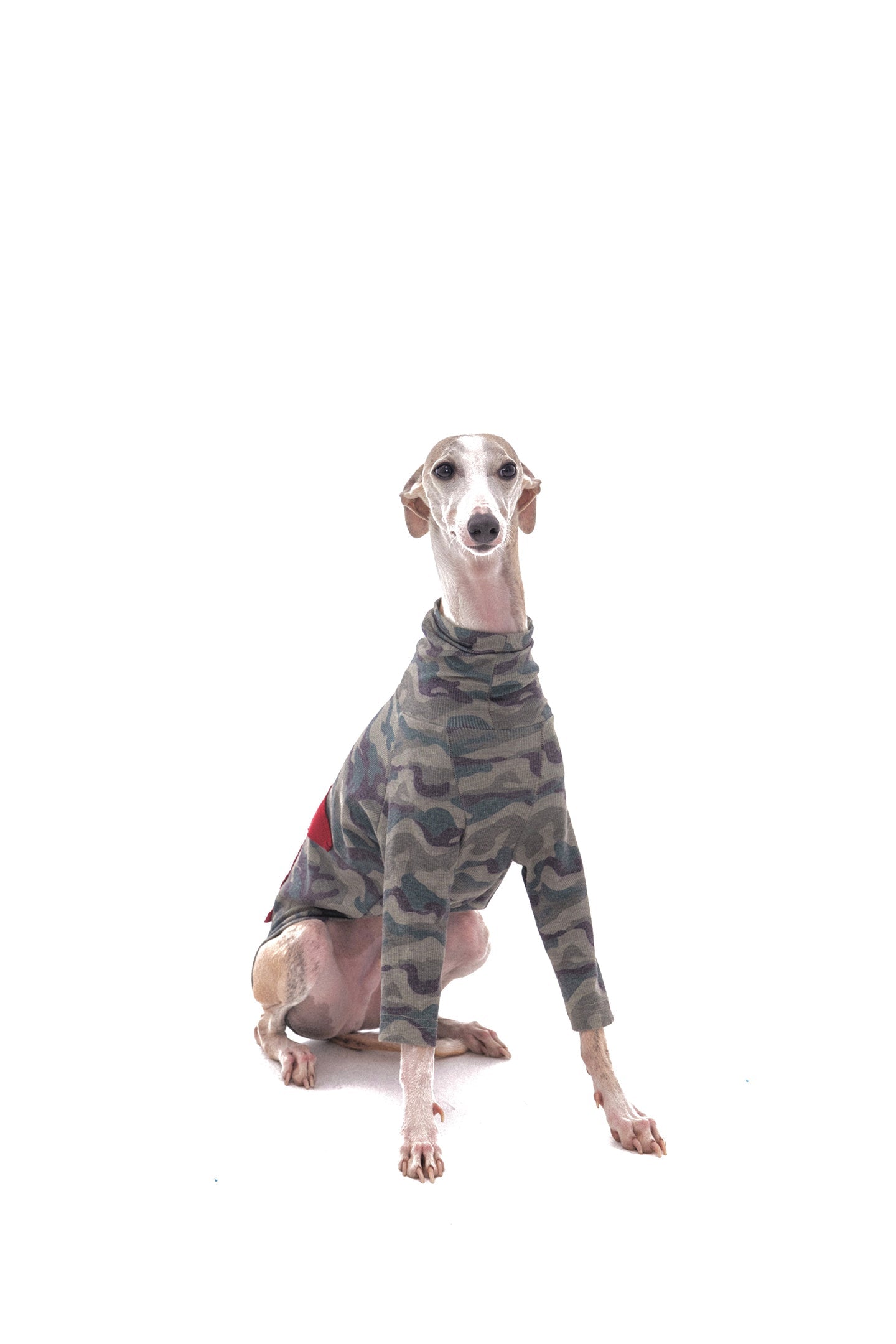 Star Camouflage Dog Jacket - PSYLOS 1, Star Camouflage Dog Jacket, Dog Jacket, NyDkyel, PSYLOS 1