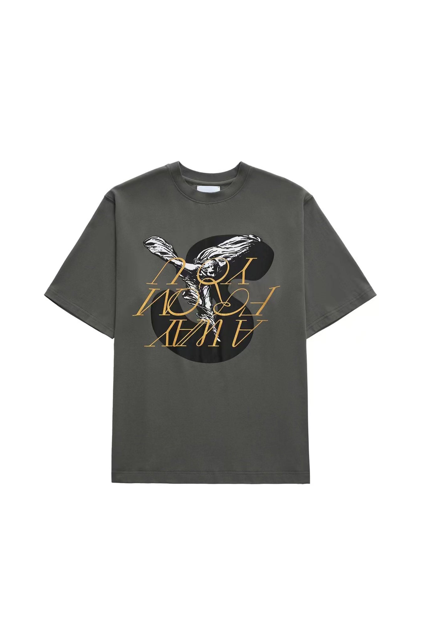 AINTSHY Grey Printed T-shirt