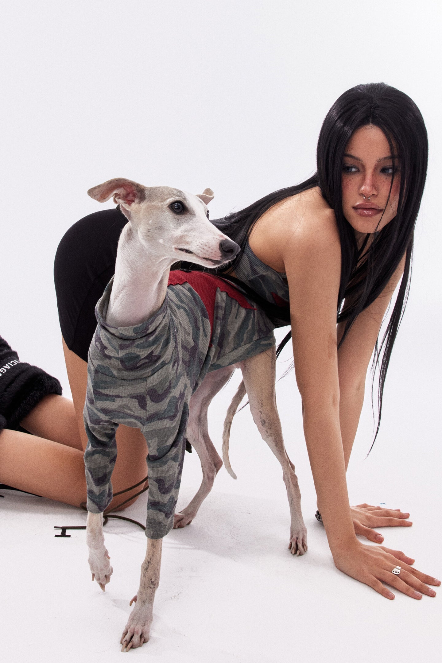 Star Camouflage Dog Jacket - PSYLOS 1, Star Camouflage Dog Jacket, Dog Jacket, NyDkyel, PSYLOS 1